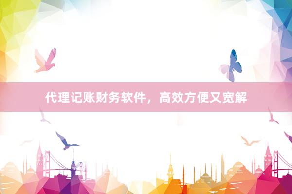 代理记账财务软件，高效方便又宽解