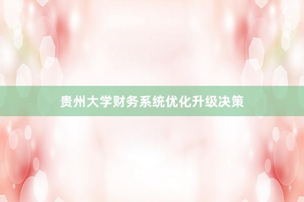 贵州大学财务系统优化升级决策